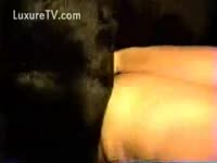 Beastiality Sex DVD - Black Labrador bonks a dark brown babe